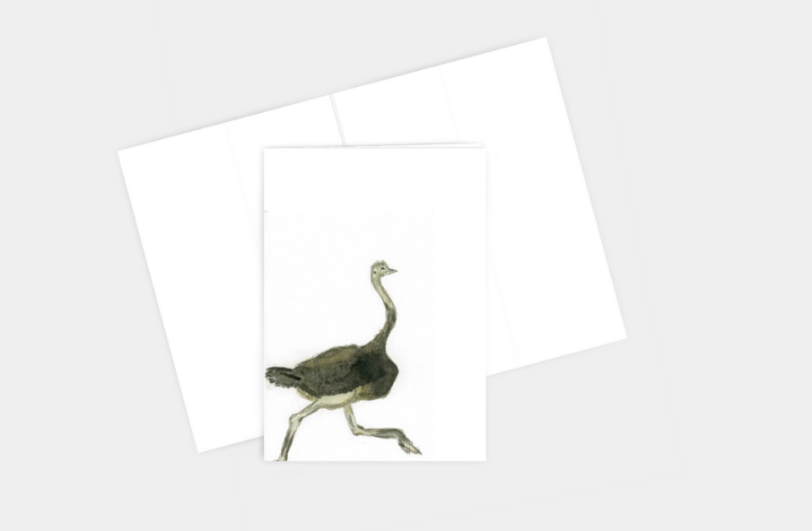 Stay Cool. Stay Ostrich. Greeting Card