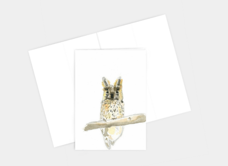 Perched Owl Greeting Card