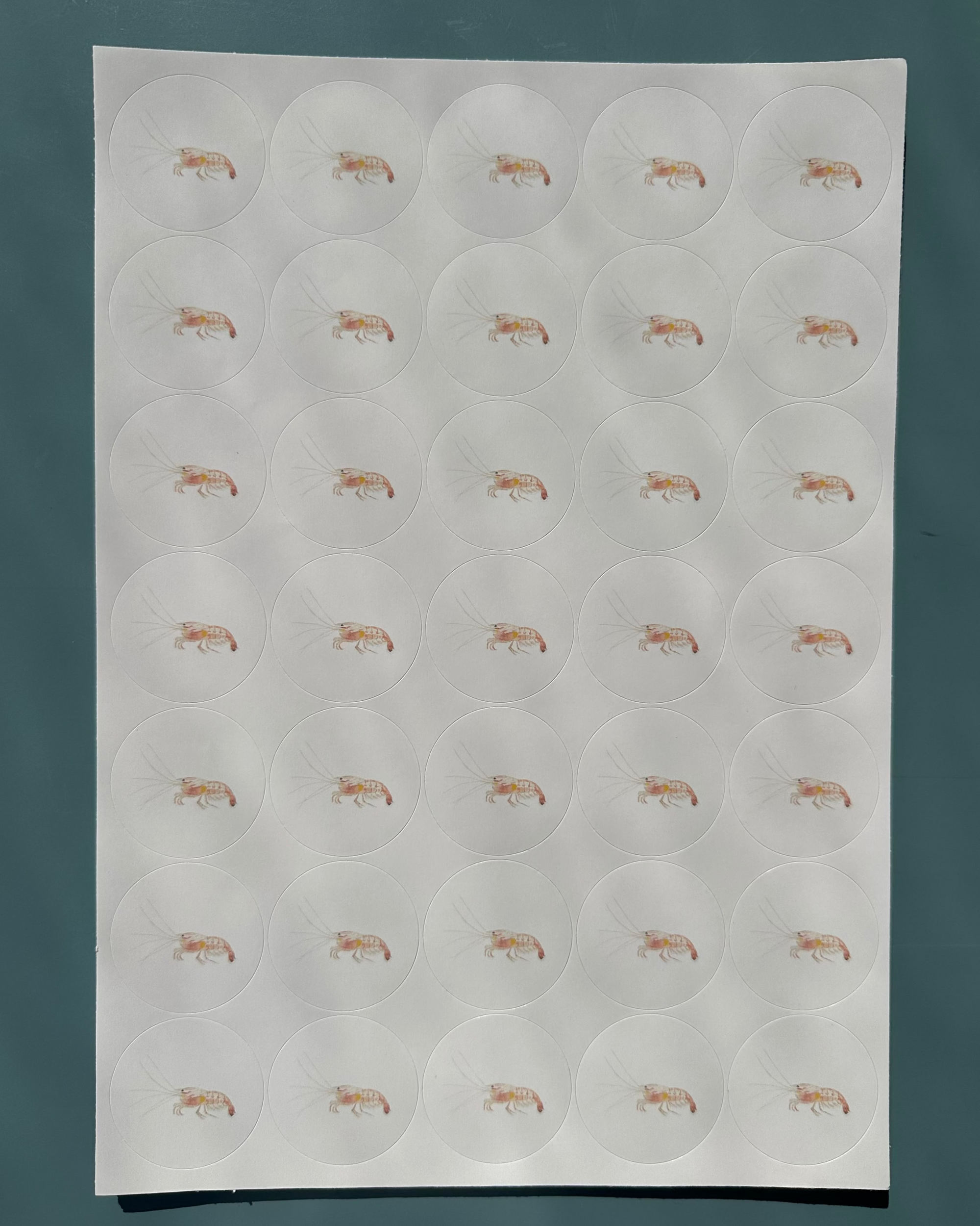 Shrimply Irresistible Stickers