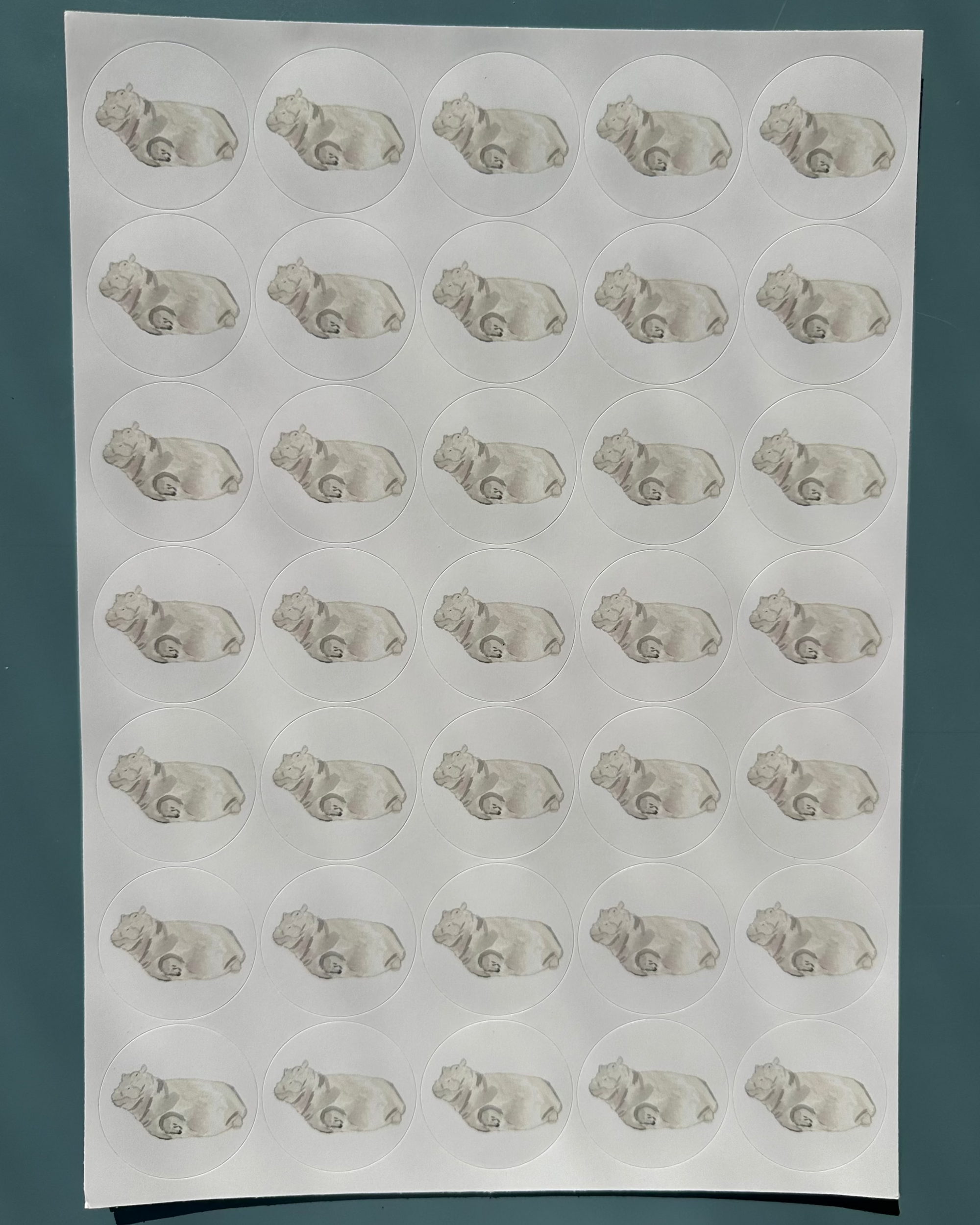 Hippo-thesis Stickers