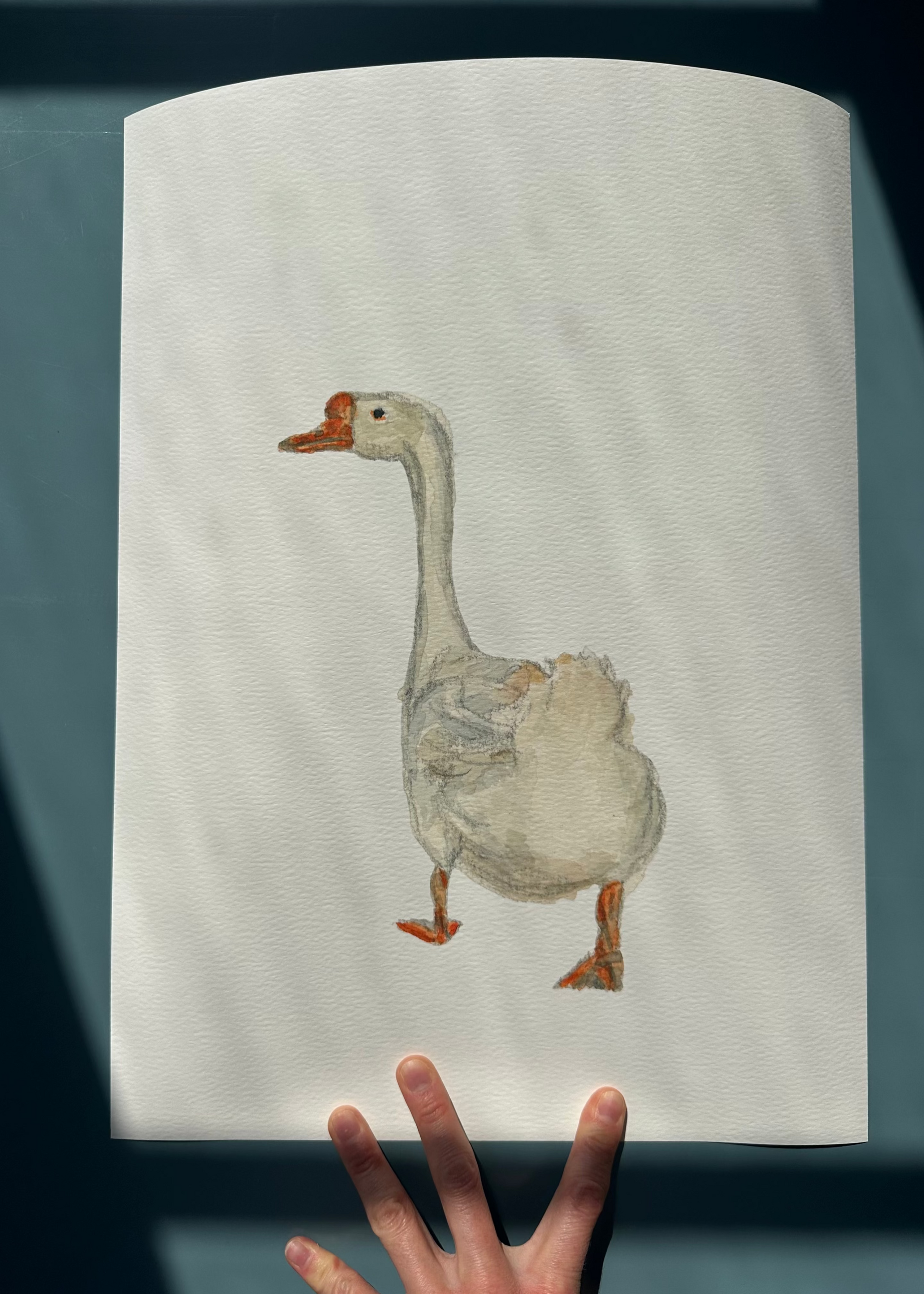 Goose on the Loose Art Print