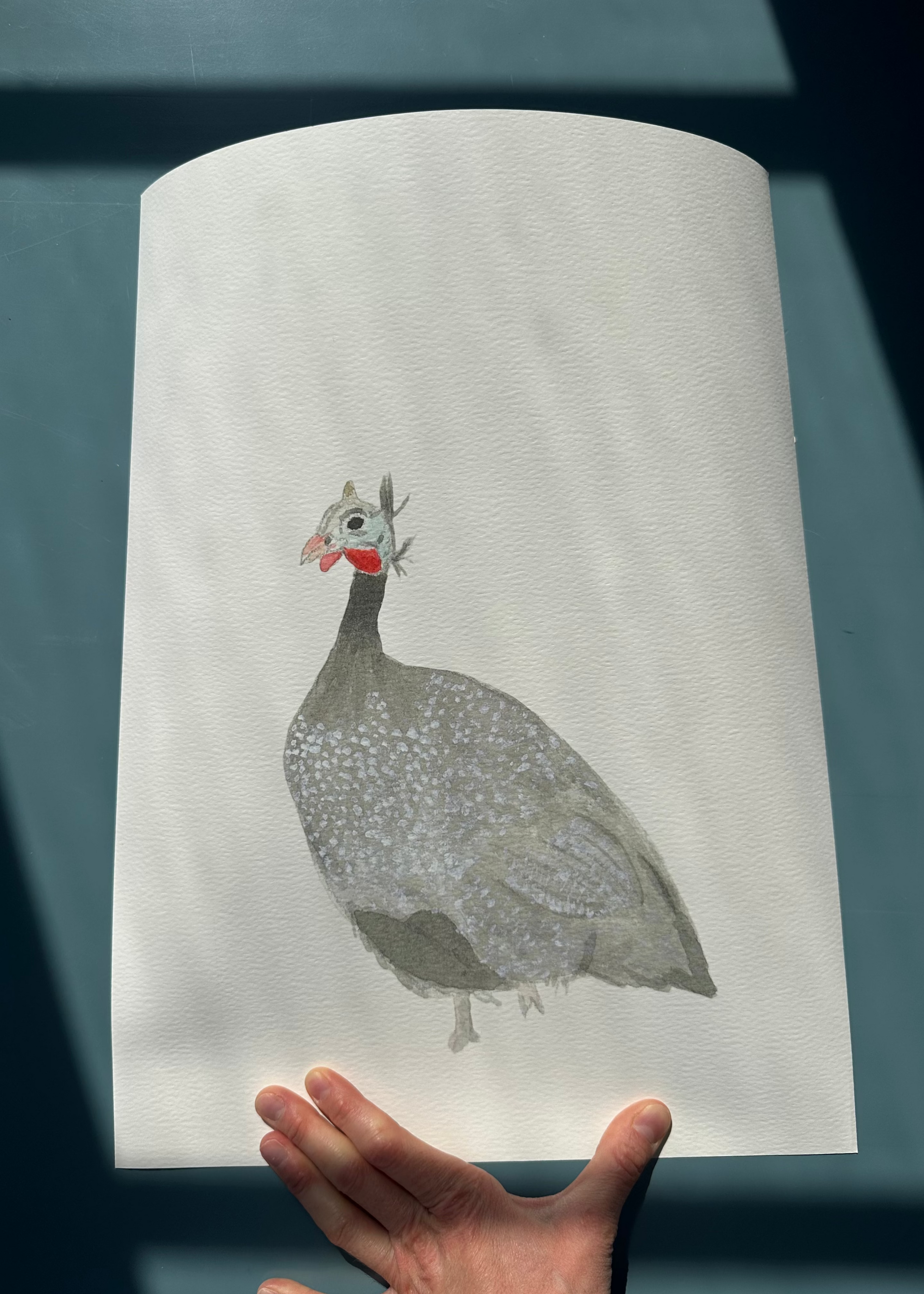 Chicken of the Bush Art Print