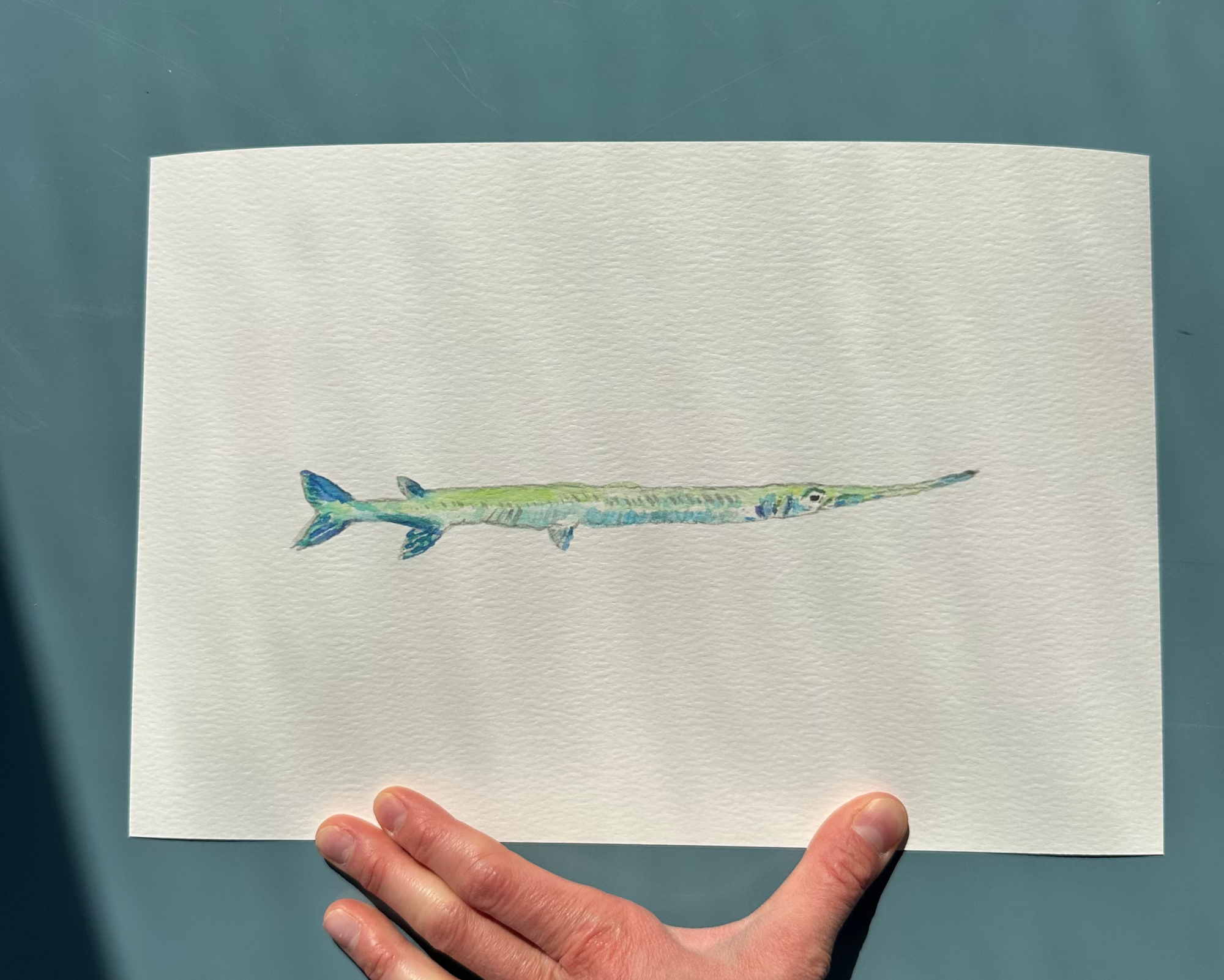 Needlefish Art Print