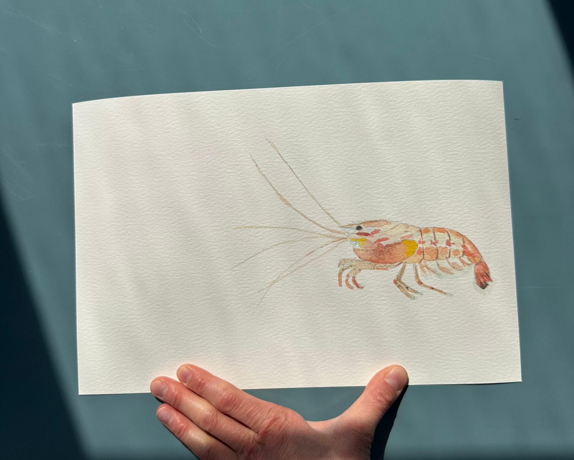 Shrimply Irresistible Art Print