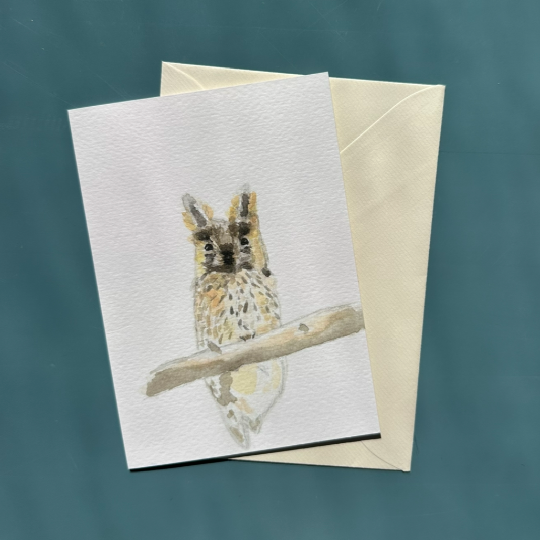 Perched Owl Greeting Card
