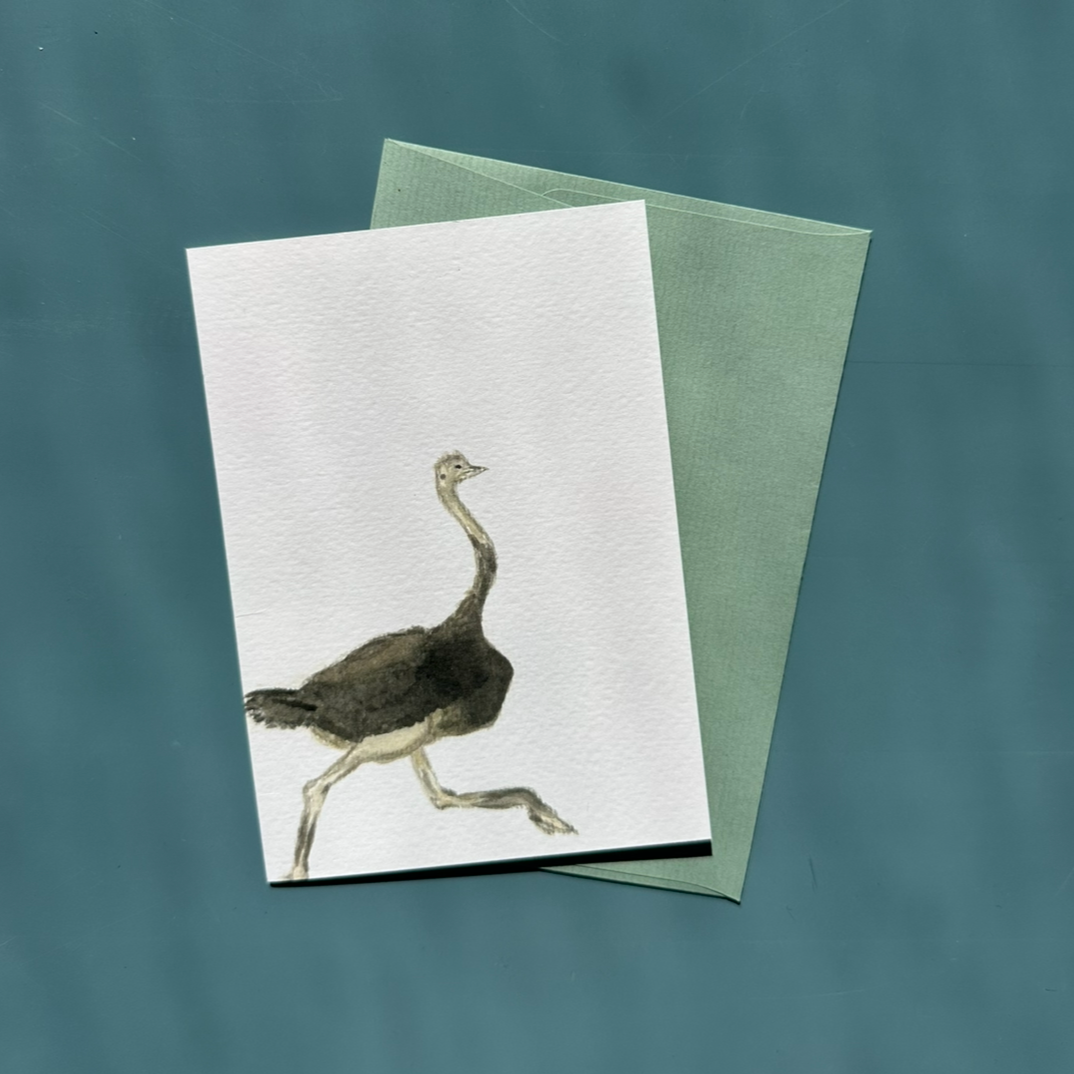 Stay Cool. Stay Ostrich. Greeting Card