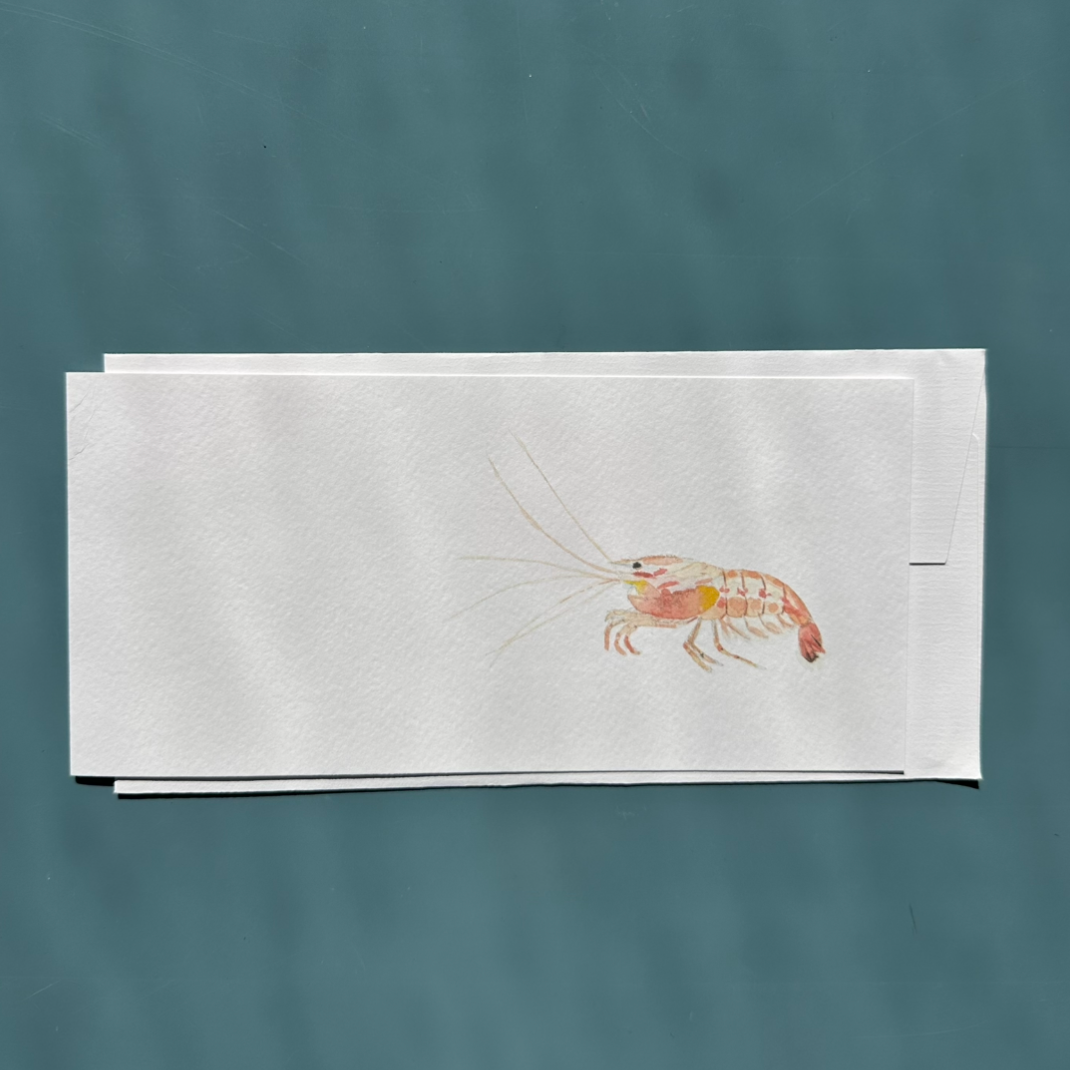 Shrimply Irresistible Greeting Card
