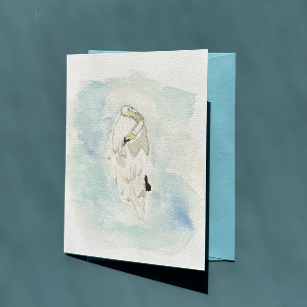 Sleeping Swan Greeting Card