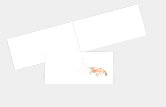 Shrimply Irresistible Greeting Card