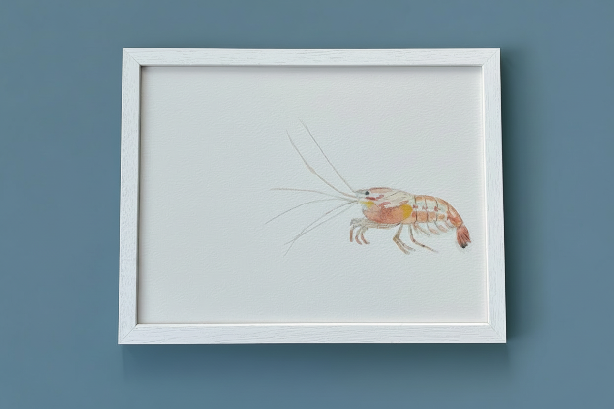 Shrimply Irresistible Art Print